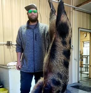 Meet your Posher, Thomas